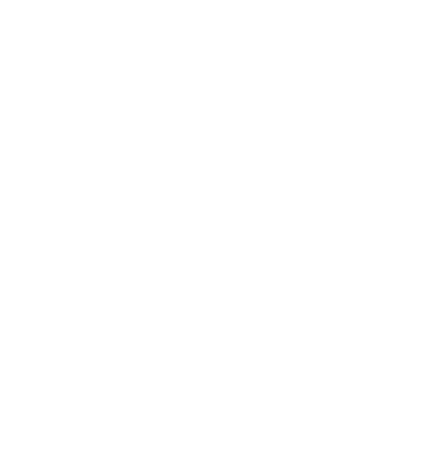 Logo Scenic Trail